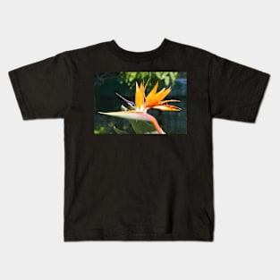 Bird of Paradise or Crane Lily Kids T-Shirt